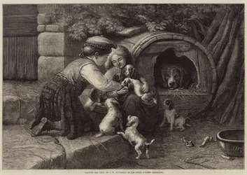 Unter den Haustieren